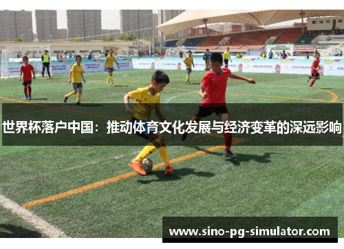 世界杯落户中国：推动体育文化发展与经济变革的深远影响