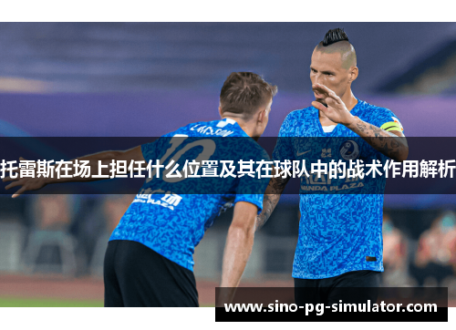 托雷斯在场上担任什么位置及其在球队中的战术作用解析