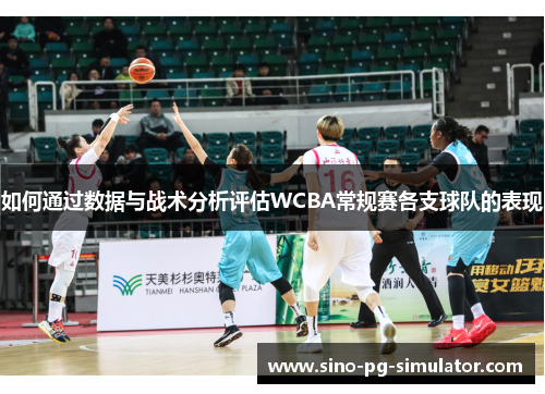 如何通过数据与战术分析评估WCBA常规赛各支球队的表现