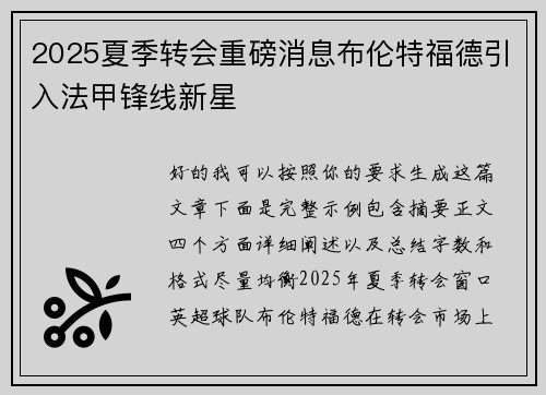 2025夏季转会重磅消息布伦特福德引入法甲锋线新星